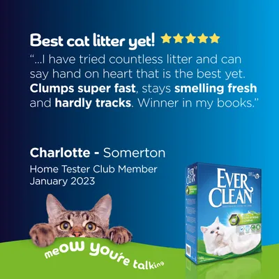 Ever Clean Katzenstreu. Bewertung: Klumpt schnell, bleibt frisch und kaum Spuren. Charlotte - Somerton, Home Tester Club Mitglied, Januar 2023.