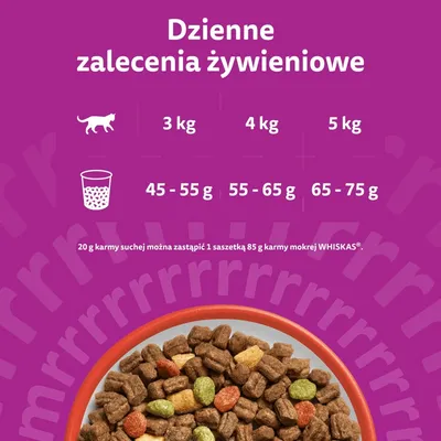 Whiskas 1+ z wołowiną
