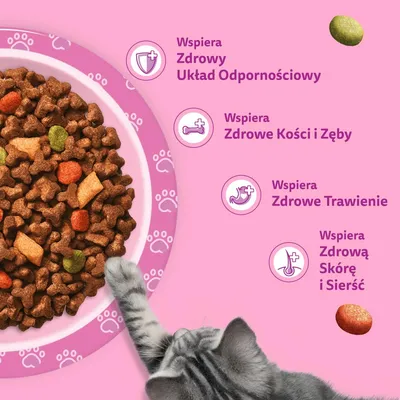 Whiskas Junior z kurczakiem