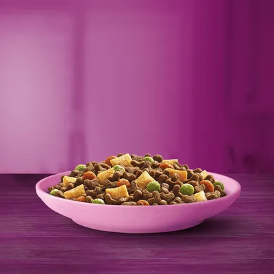 Bowl filled with mixed dry pet food pieces in various shapes and colours, including brown, yellow, green, and orange, on a purple surface with a purple background.