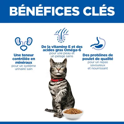 Principaux avantages : teneur contrôlée en minéraux, vitamine E et acides gras oméga-6, protéines de poulet de haute qualité. Texte en français avec un chat et une gamelle illustrés. Principaux avantages : teneur contrôlée en minéraux, vitamine E et acides gras oméga-6, protéines de poulet de haute qualité. Texte en français avec un chat et une gamelle illustrés.