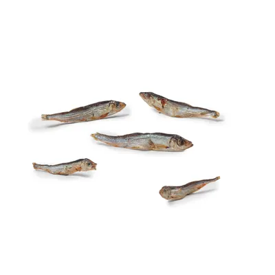 Getrocknete kleine Fische, geeignet als Snack oder Ergänzung für Haustiere. Sichtbar sind fünf einzelne Fische auf weissem Hintergrund.