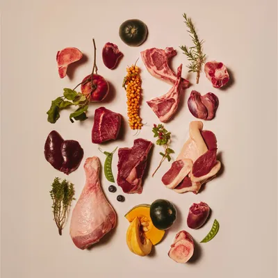 Différents morceaux de viande crue, abats, os, potiron, pomme, baies, gousses de pois et herbes illustrés comme aperçu des ingrédients pour l’alimentation animale. Différents morceaux de viande crue, abats, os, potiron, pomme, baies, gousses de pois et herbes illustrés comme aperçu des ingrédients pour l’alimentation animale.