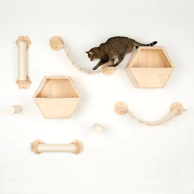 Juego de escalada y juego de pared de madera con puentes colgantes, rascadores y estantes hexagonales. Gato usando el set.