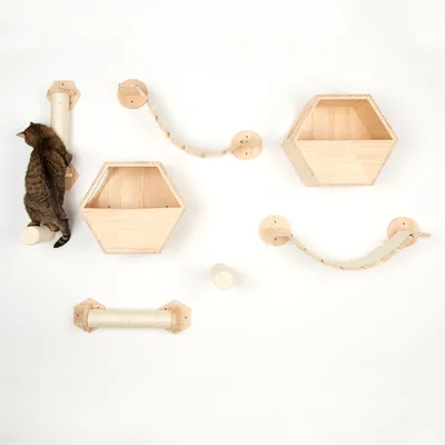 Juego de escalada y juego de pared de madera con puentes de cuerda, superficies rascadoras y estantes hexagonales. Gato trepando en una superficie rascadora.
