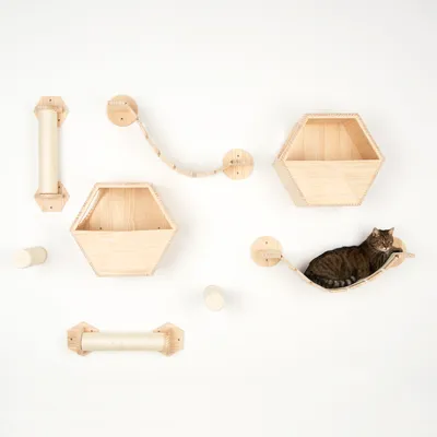 Juego de escalada de madera montado en la pared con estantes hexagonales, hamaca y postes rascadores. Gato tumbado en la hamaca.