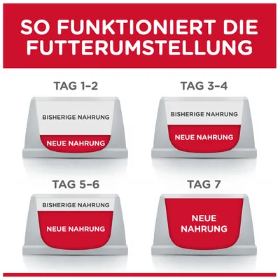Diagramm zur Futterumstellung: Tag 1-2 und Tag 3-4 mit Mischung aus bisheriger und neuer Nahrung, Tag 5-6 überwiegend neue Nahrung, Tag 7 nur neue Nahrung.