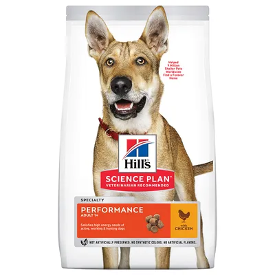 Hill's Science Plan Performance Adult 1+ mit Huhn. Hochenergetisches Futter für aktive, arbeitende und jagende Hunde. Ohne künstliche Konservierungsstoffe, Farben oder Aromen.