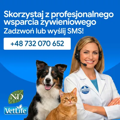 Profesjonalne doradztwo żywieniowe dla zwierząt domowych. Zadzwoń lub wyślij SMS na numer +48 732 070 652. Marki: N&D, VetLife, Farmina Pet Foods. Profesjonalne doradztwo żywieniowe dla zwierząt domowych. Zadzwoń lub wyślij SMS na numer +48 732 070 652. Marki: N&D, VetLife, Farmina Pet Foods.