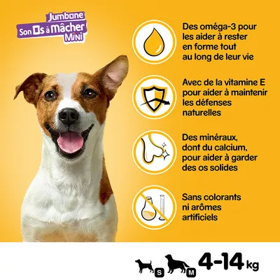 Jumbone Son Os à Mâcher Mini, pour chiens S et M 4–14 kg. Oméga-3, vitamine E, minéraux dont calcium, sans colorants ni arômes artificiels. Texte en français (fr_BE).