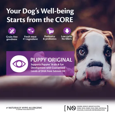 Puppy Original: grain-free, fresh meat as main ingredient, prebiotics and probiotics, low carbs, no fillers. Supports brain and eye development with DHA from salmon oil. No grains or artificial additives.