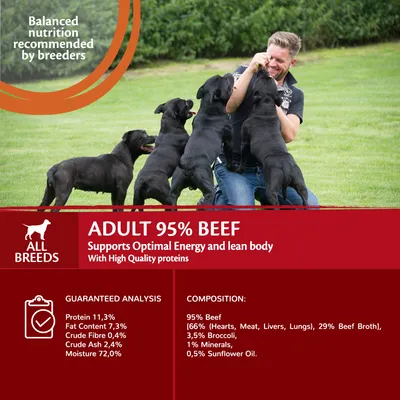 Adult 95% beef food for all breeds. Supports optimal energy and lean body. Guaranteed analysis: protein 11.3%, fat 7.3%. Composition: 95% beef, broccoli, minerals, sunflower oil.