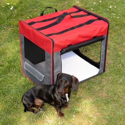 Caisse de transport en tissu rouge et gris avec poignée, fenêtre latérale en maille et tapis blanc à l’intérieur, posée sur l’herbe à côté d’un chien teckel noir et feu.