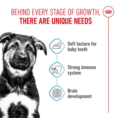 Graphic with the texts: Soft texture for baby teeth, Strong immune system, Brain development. Heading: Behind every stage of growth, there are unique needs.