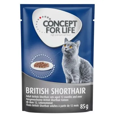 Concept for Life British Shorthair -kissanruoka, aikuisille British Shorthair -kissoille 12 kk alkaen, 85 g annospussi. Pakkauksessa harmaa kissa ja kuva ruoasta lautasella. Concept for Life British Shorthair -kissanruoka, aikuisille British Shorthair -kissoille 12 kk alkaen, 85 g annospussi. Pakkauksessa harmaa kissa ja kuva ruoasta lautasella.
