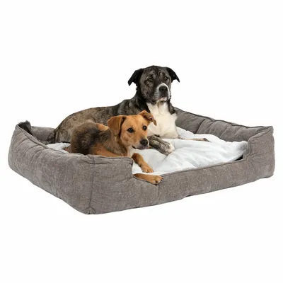 Zwei Hunde liegen in einem grauen Hundebett mit weicher, weisser Polsterung.