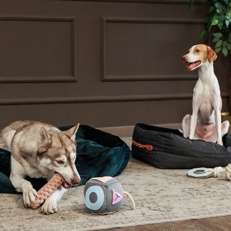 Modern Living Hundebett Fern