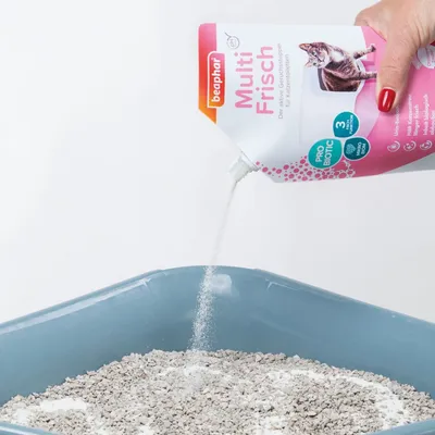 Beaphar Multi Frisch, polvere versata su lettiera per gatti. Visibili: immagine di gatto, testo 'Pro Biotic', '3 azioni', 'Multi Frisch'.