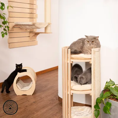 Holz-Katzenmöbel mit Kratzbaum, Liegeflächen und Spieltunnel. Drei Katzen nutzen die Möbel in einem Raum mit Pflanzen. Logo unten links sichtbar.