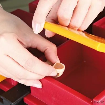 Hånd placerer lille godbid i rød plastikboks med gul låg, sandsynligvis til brug i aktivitetslegetøj eller foderdispenser til kæledyr.