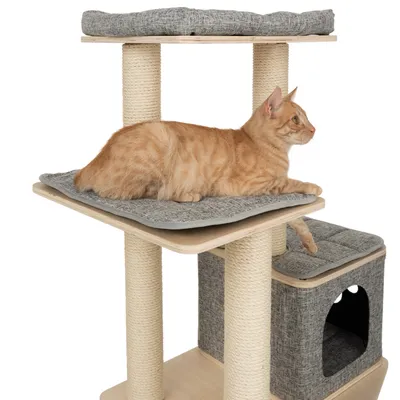 Kratzbaum mit drei Ebenen, Sisalstämmen und grauen Polstern. Orangefarbene Katze liegt auf der mittleren Ebene.