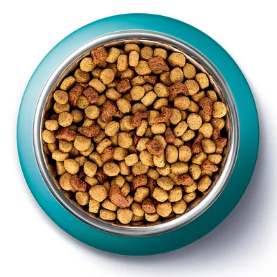 Miska s granulemi pro domácí zvířata, pohled shora. Granule různých tvarů a odstínů hnědé barvy v nerezové misce s tyrkysovým okrajem.