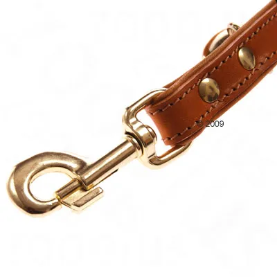 Close-up of brown leather lead with gold-coloured metal clip and rivets, visible stitching along the edge.