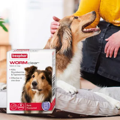 Beaphar WORMclear tablets for dogs, kills roundworms and tapeworms, effective in one dose, pork flavoured, 4 tablets, for dogs up to 40kg. Image shows a dog being petted.