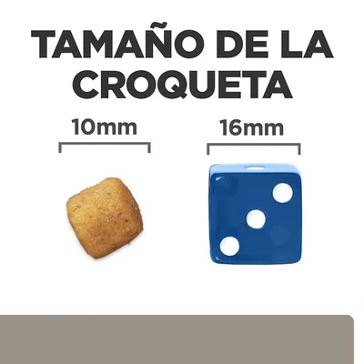 Tamaño de la croqueta: comparación visual entre una croqueta de 10 mm y un dado azul de 16 mm. Texto visible: 'TAMAÑO DE LA CROQUETA', '10 mm', '16 mm'.