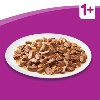 Porce masových kousků v omáčce na bílém talíři, v rohu obrázku je viditelné označení 1+