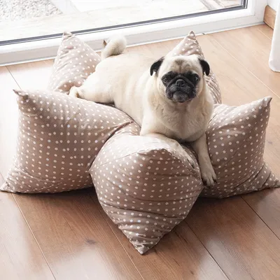 Aumüller Stjernepute