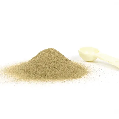 Powdered supplement or food with a measuring scoop beside it, showing product texture and portion size.