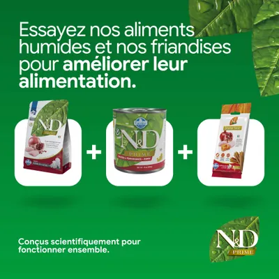 N&D Prime croquettes, aliments humides et friandises dental. Développés scientifiquement pour améliorer l’alimentation lorsqu’ils sont utilisés ensemble.
