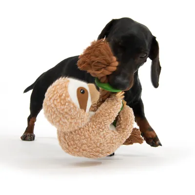 Hund spielt mit Plüschspielzeug in Faultierform und Seilknoten. Spielzeug kombiniert weiches Material und robustes Seil für interaktives Spielen.