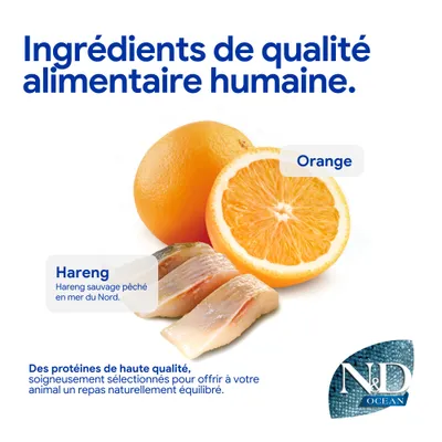 Ingrédients de qualité alimentaire : orange et hareng de la mer du Nord. Protéines de haute qualité, soigneusement sélectionnées pour un repas naturellement équilibré. N&D Ocean. Ingrédients de qualité alimentaire : orange et hareng de la mer du Nord. Protéines de haute qualité, soigneusement sélectionnées pour un repas naturellement équilibré. N&D Ocean.