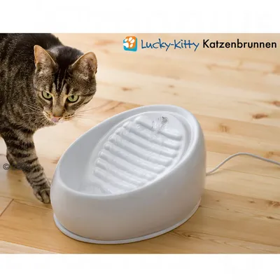 Lucky-Kitty Katzenbrunnen aus weisser Keramik mit fliessendem Wasser, daneben eine getigerte Katze auf Holzboden.