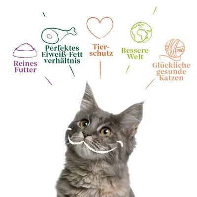 Reines Futter, perfektes Eiweiss-Fett-Verhältnis, Tierschutz, bessere Welt, glückliche gesunde Katzen. Illustration mit Katze und Symbolen.
