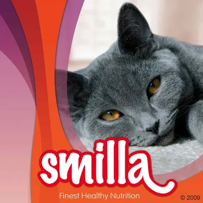 smilla Finest Healthy Nutrition, image d’un chat gris allongé. Texte en anglais visible sur l’emballage.