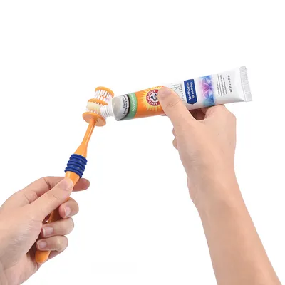 Användning av en orange hundtandborste med blå handtagsdetaljer och Arm & Hammer kokosnöts-tandkräm. Tandkräm trycks på borsten.