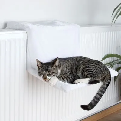 Amaca bianca in tessuto fissata a un termosifone, con un gatto tigrato sdraiato sopra. Termosifone e pianta visibili sullo sfondo.