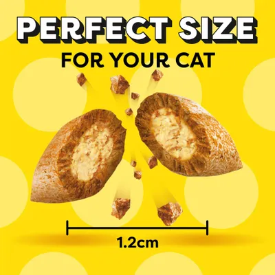 Big Pack Dreamies Cat Treats 200g