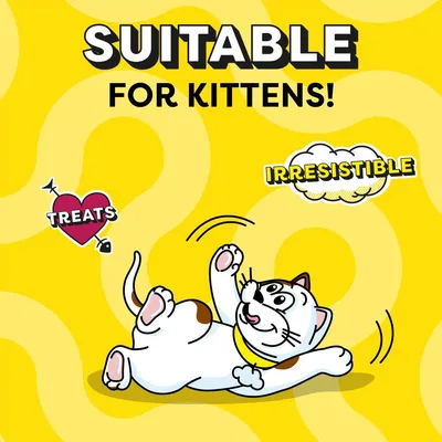 Dreamies Kitten & Adult Cat Treat Biscuits Variety Snack Box - 12 x 60g Dreamies Kitten & Adult Cat Treat Biscuits Variety Snack Box - 12 x 60g