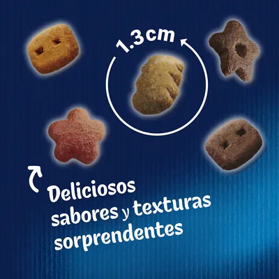 Pienso en varias formas y colores, texto: 'Deliciosos sabores y texturas sorprendentes', tamaño visible de croqueta 1,3 cm.