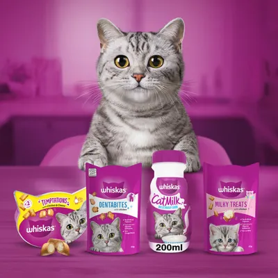 Whiskas Cat Milk - 6 x 200ml Whiskas Cat Milk - 6 x 200ml