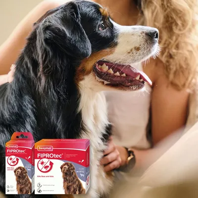 Large dog sitting beside a person with two boxes of FIPROtec flea and tick treatment for dogs shown in the foreground.