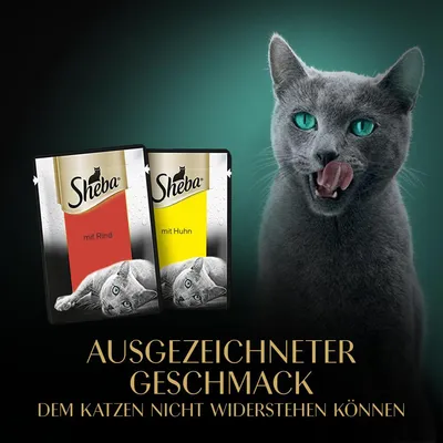 Sheba Katzenfutter mit Rind und Huhn. Ausgezeichneter Geschmack, dem Katzen nicht widerstehen können.