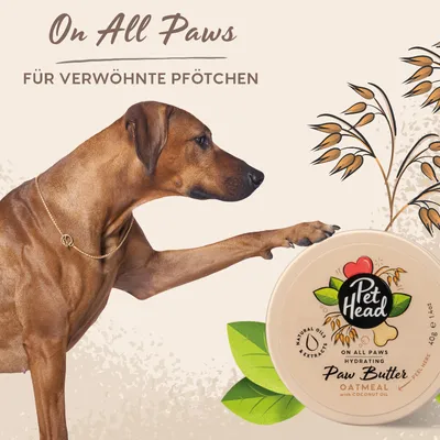 Pas pruža šapu prema kutiji Pet Head On All Paws Hydrating Paw Butter Oatmeal with Coconut Oil. Tekst: 'On All Paws', 'Für verwöhnte Pfötchen'.
