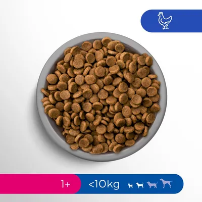 Suché krmivo v miske. Vhodné pre psy od 1 roka a do 10 kg hmotnosti. Viditeľný symbol kurčaťa ako prísady.