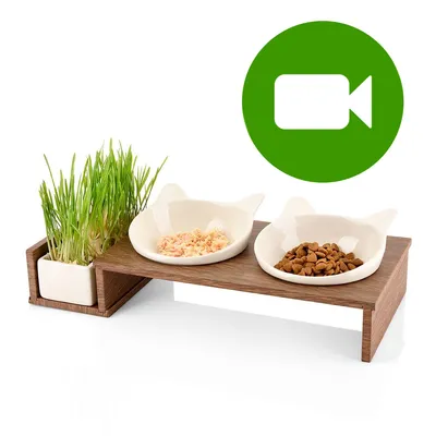 CanadianCat Company koci bar Cat Diner