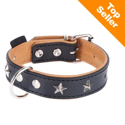 Heim kožený obojek Stars